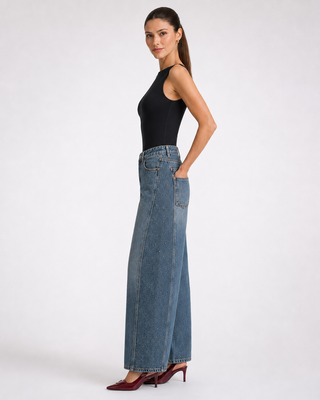 Funky Soul Ayla Rhinestones Panel Barrel Jean